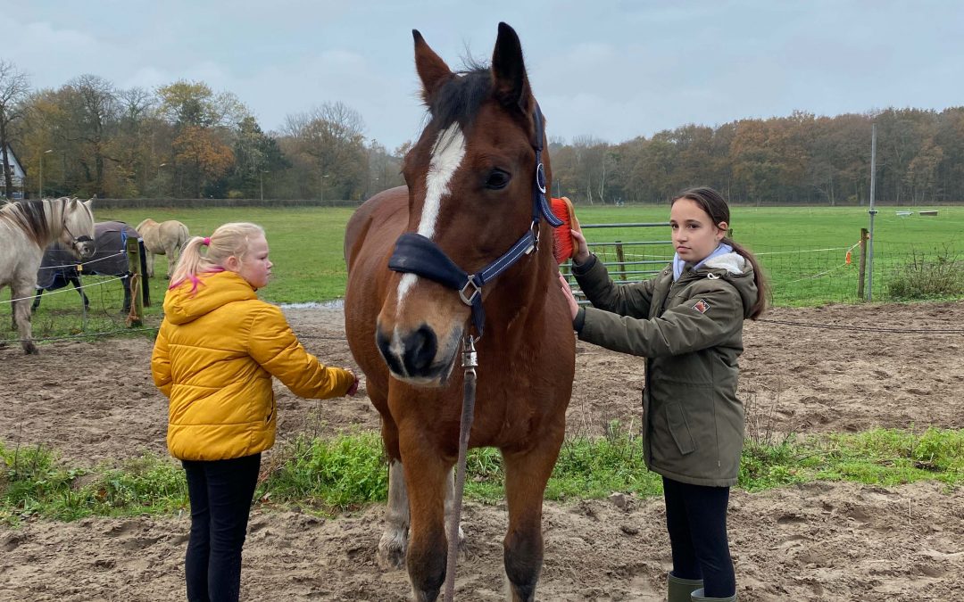 Nieuwe reeks Paardenkracht voor Pubers start winter 2021